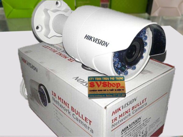 Camera IP DS-2CD2020F-IW